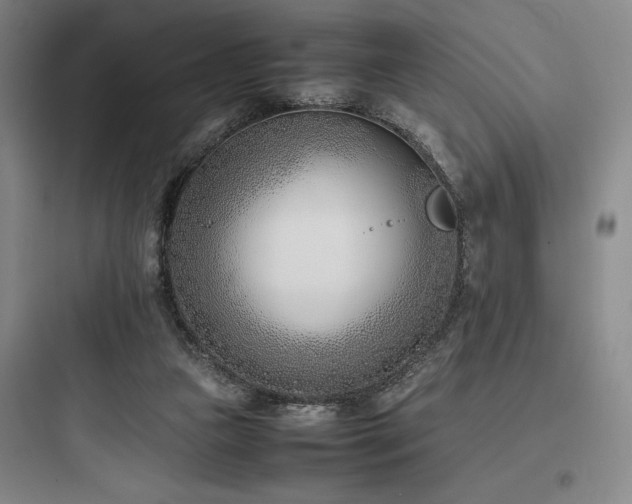 X0000097980161200803241307