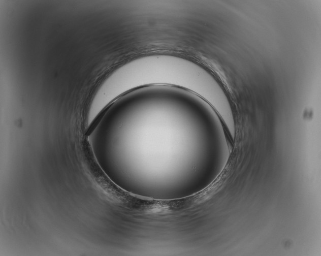 X0000097980162200803241307