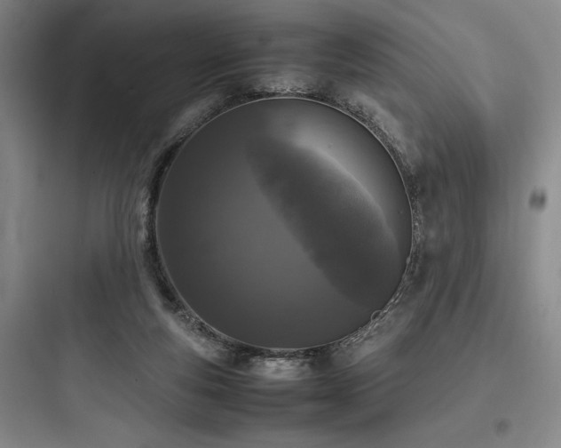 X0000097980163200803241307