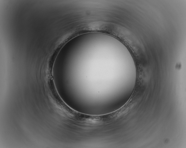 X0000097980164200803241307