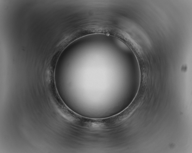 X0000097980165200803241307