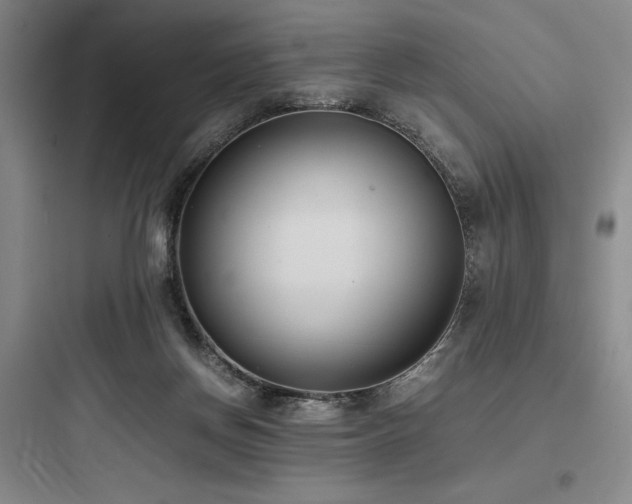X0000097980166200803241308