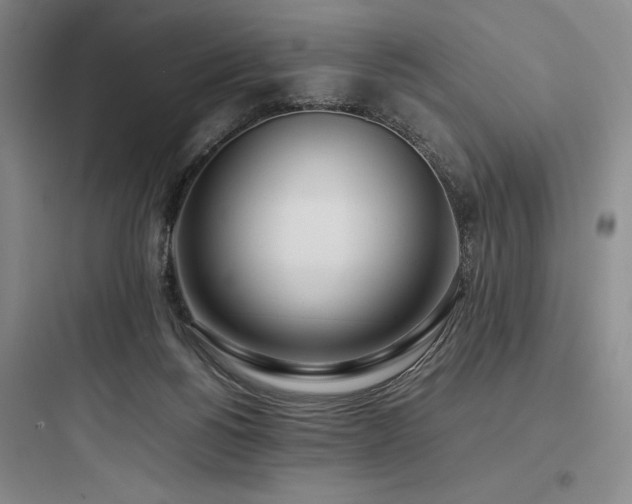 X0000097980168200803241308