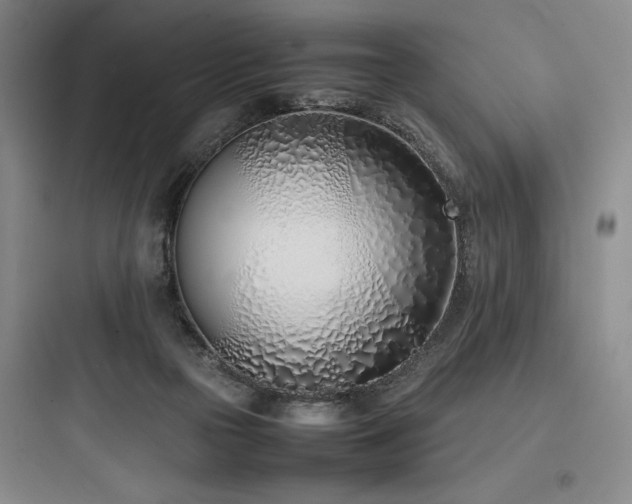 X0000097980169200803241308