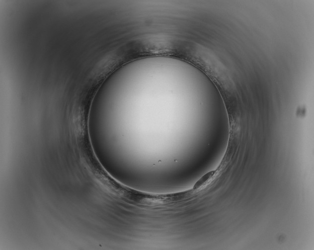 X0000097980170200803241308