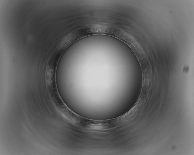 X0000097980171200803241308