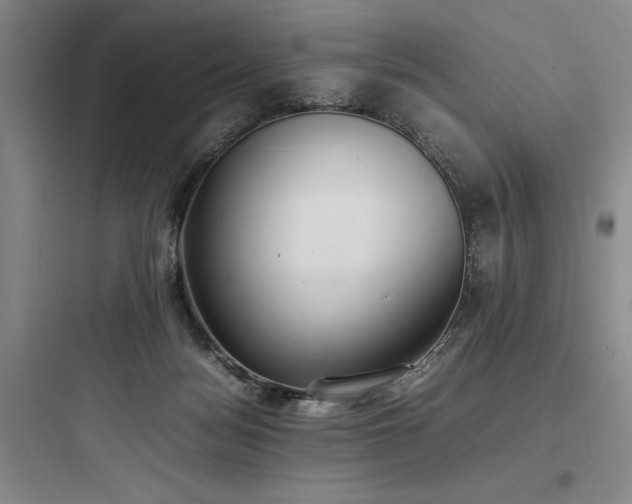 X0000097980172200803241308