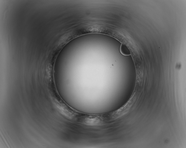 X0000097980175200803241308