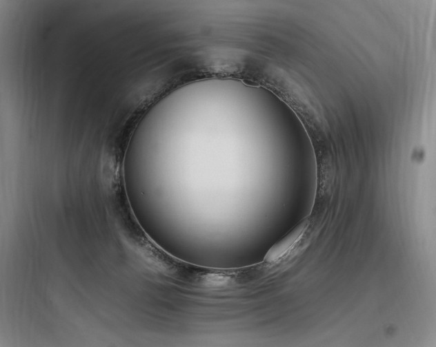 X0000097980176200803241308
