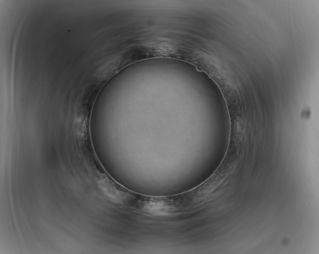 X0000097980177200803241308
