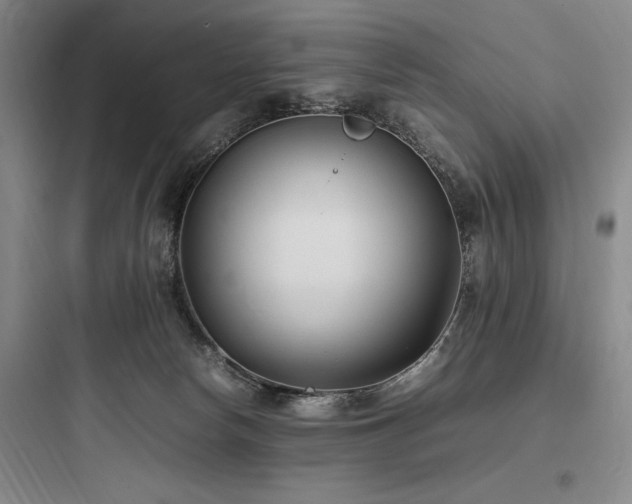 X0000097980178200803241308