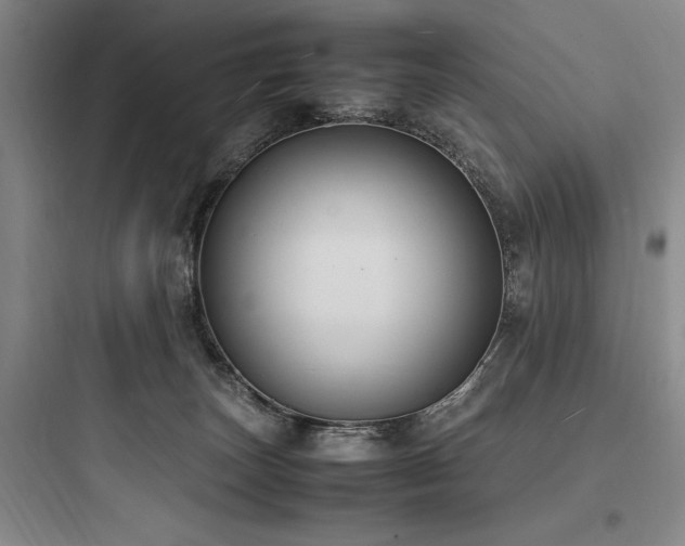 X0000097980179200803241308