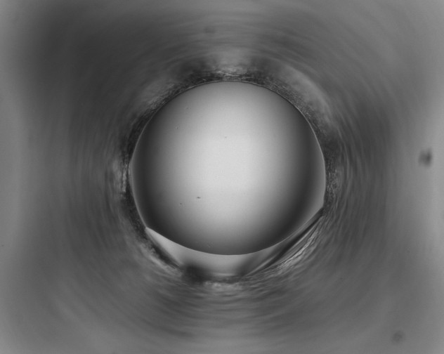 X0000097980180200803241308