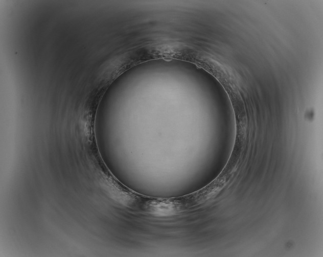 X0000097980181200803241308