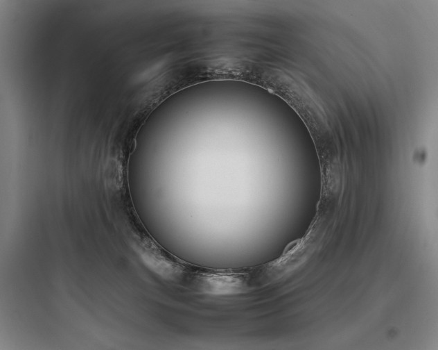 X0000097980183200803241308