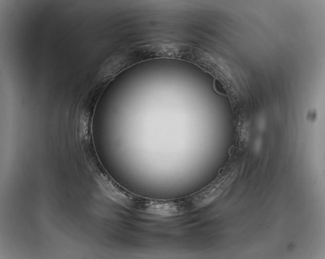 X0000097980185200803241308