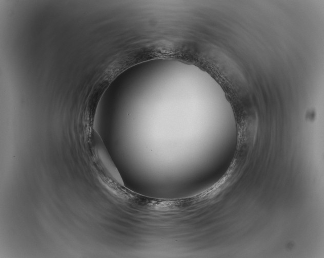 X0000097980186200803241308