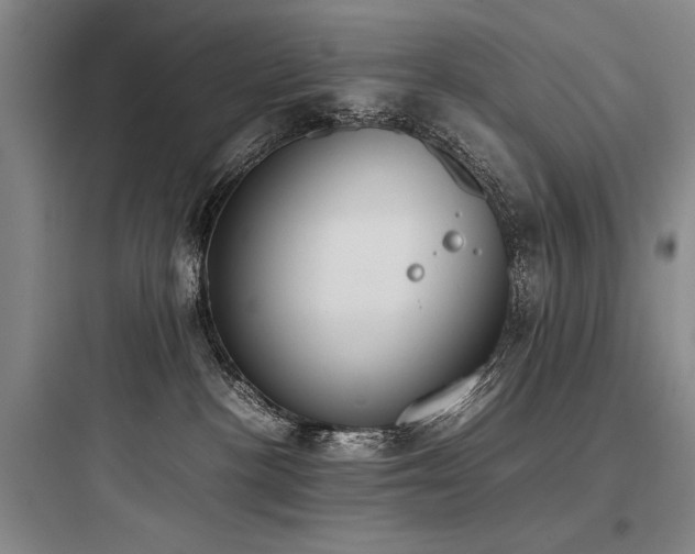 X0000097980188200803241308