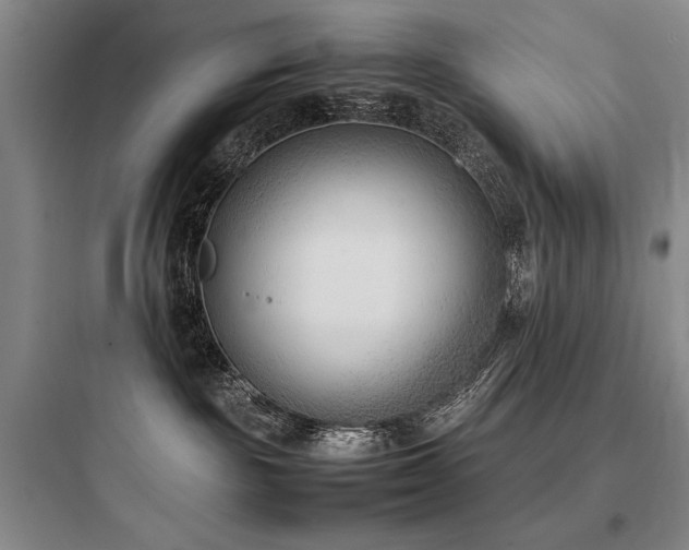 X0000097980189200803241308