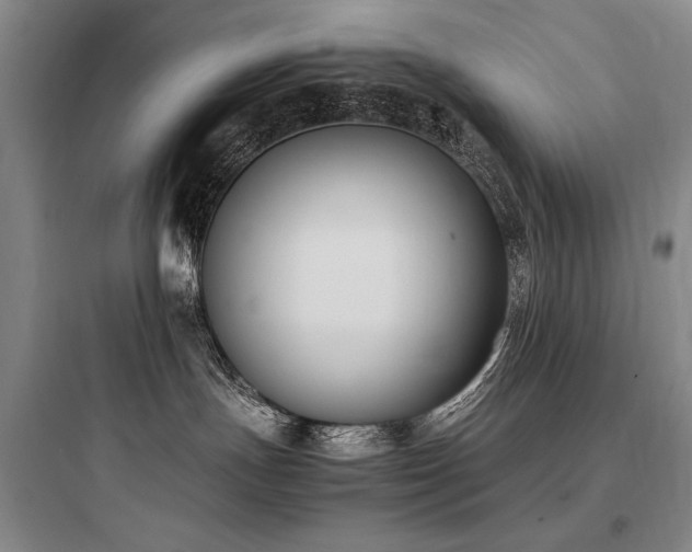X0000097980191200803241308