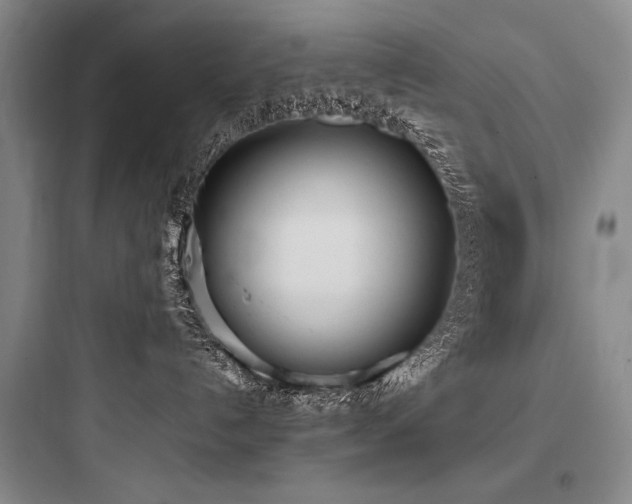 X0000097980192200803241308