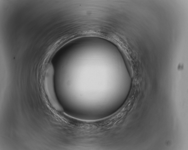 X0000097980193200803241307