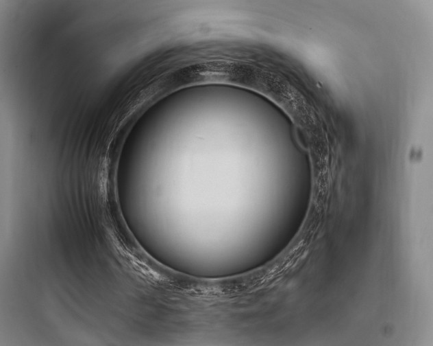 X0000097980194200803241307