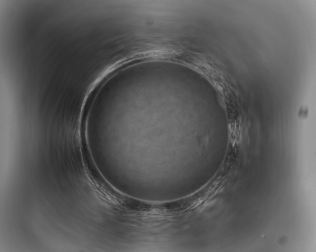 X0000097980196200803241307