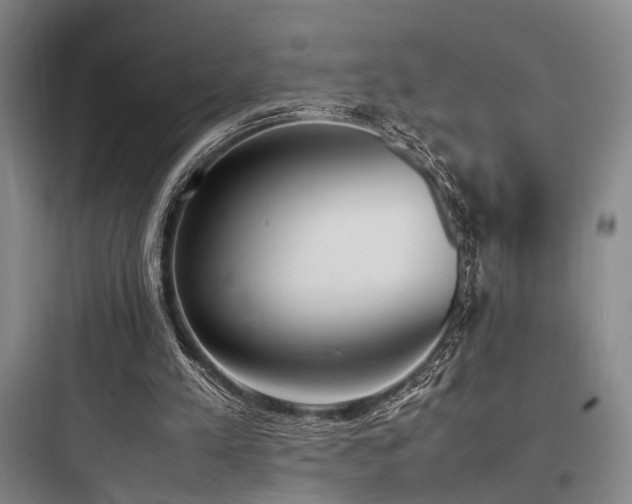 X0000097980197200803241307