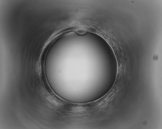 X0000097980198200803241307