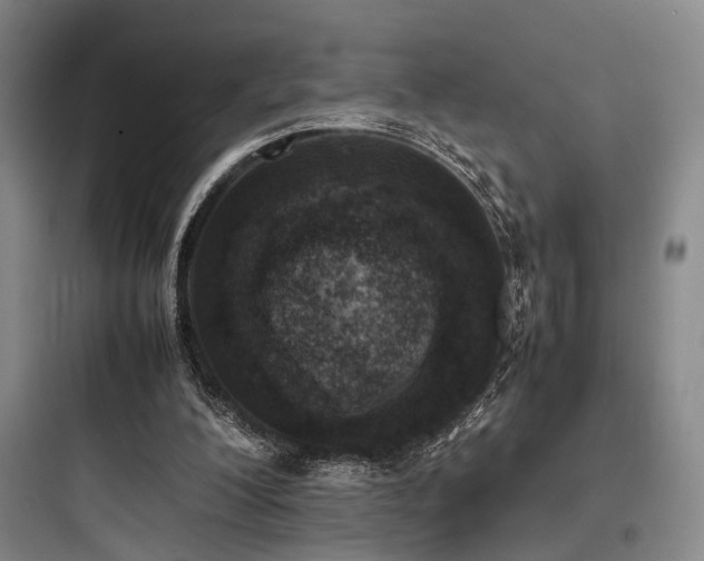 X0000097980200200803241307