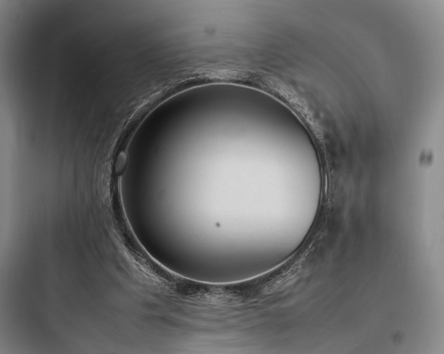 X0000097980201200803241307