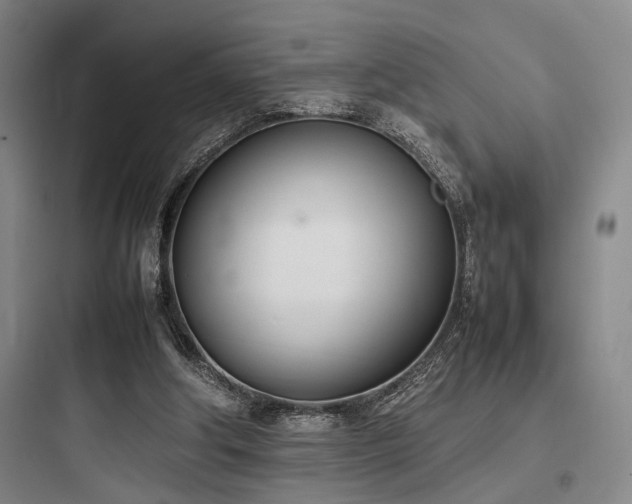 X0000097980202200803241307