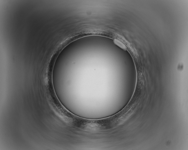 X0000097980203200803241307