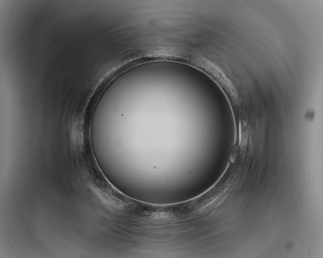 X0000097980204200803241307