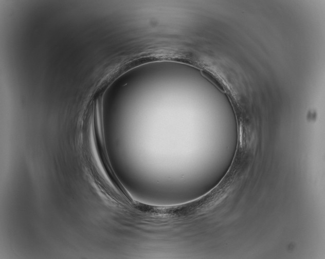 X0000097980205200803241307