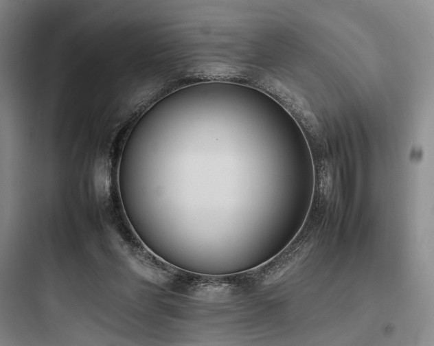 X0000097980206200803241307