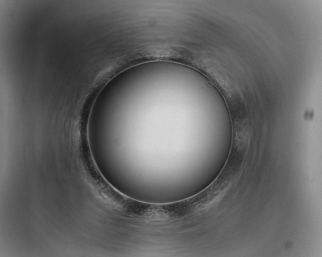 X0000097980207200803241307