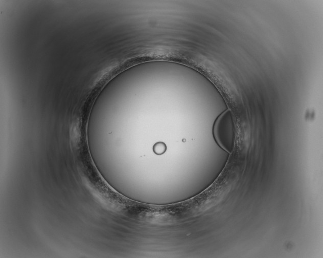 X0000097980208200803241307