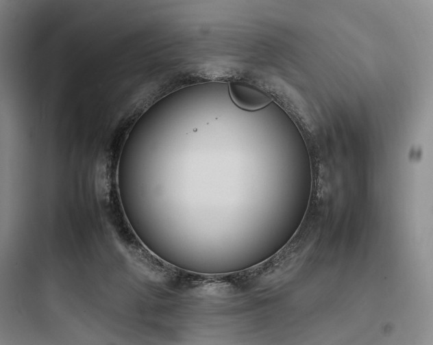 X0000097980210200803241307