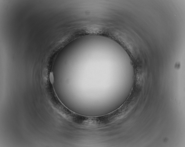 X0000097980211200803241307