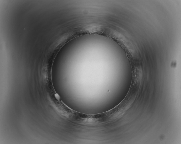 X0000097980212200803241307
