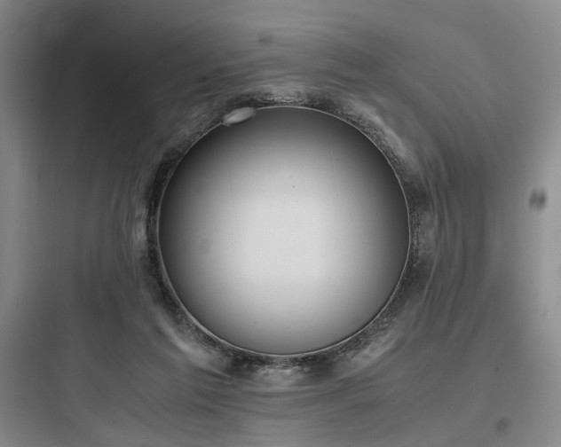 X0000097980213200803241307