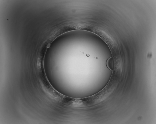 X0000097980214200803241307