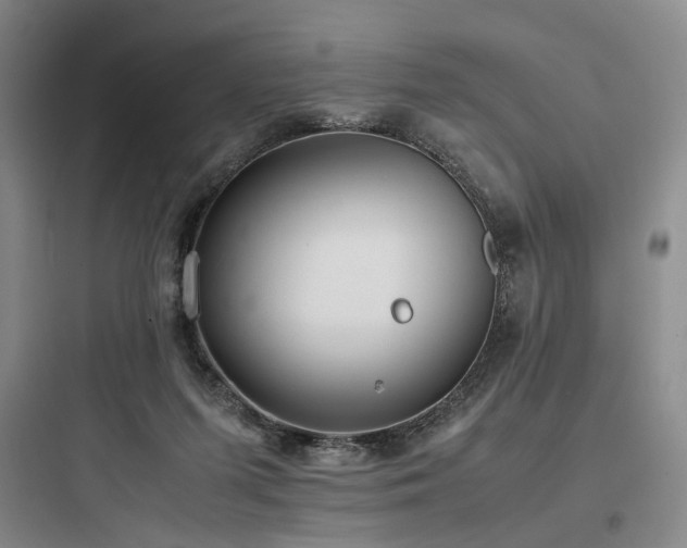X0000097980215200803241307