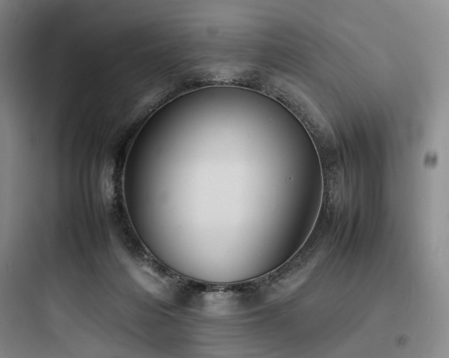 X0000097980216200803241307