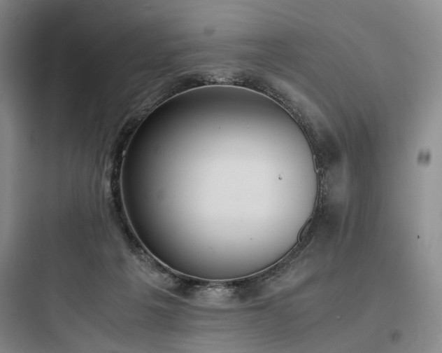 X0000097980217200803241307