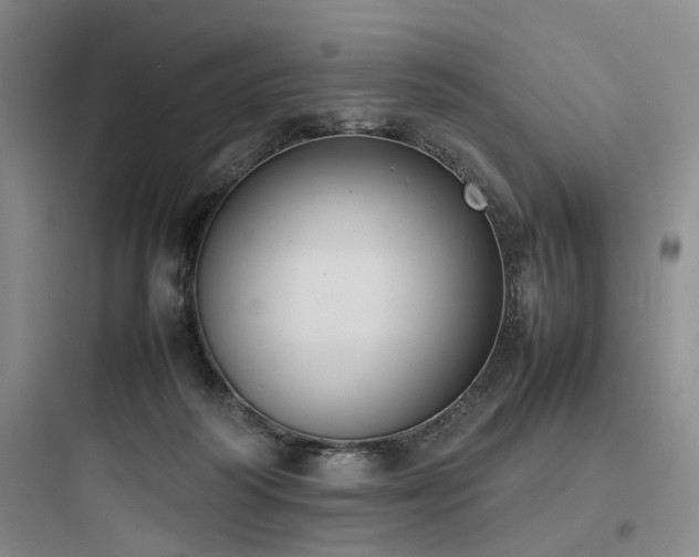 X0000097980218200803241307