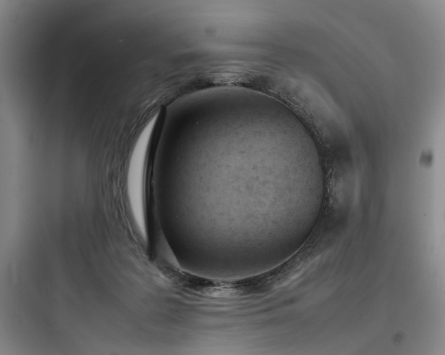X0000097980219200803241307