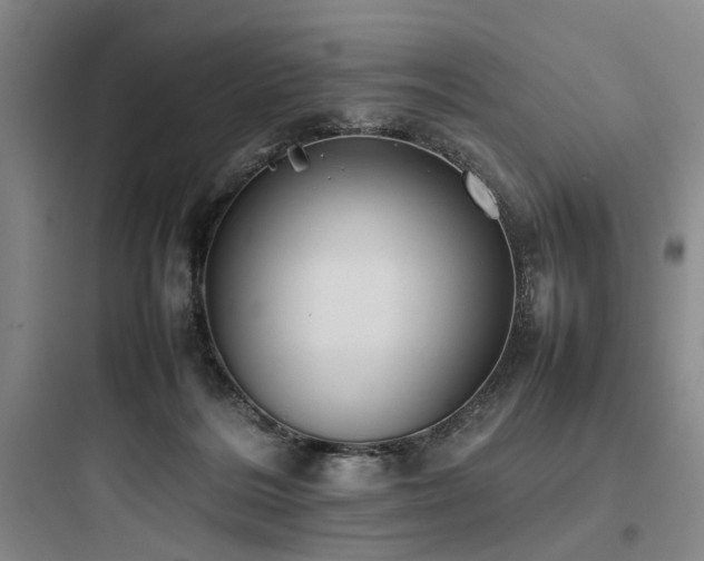 X0000097980220200803241307